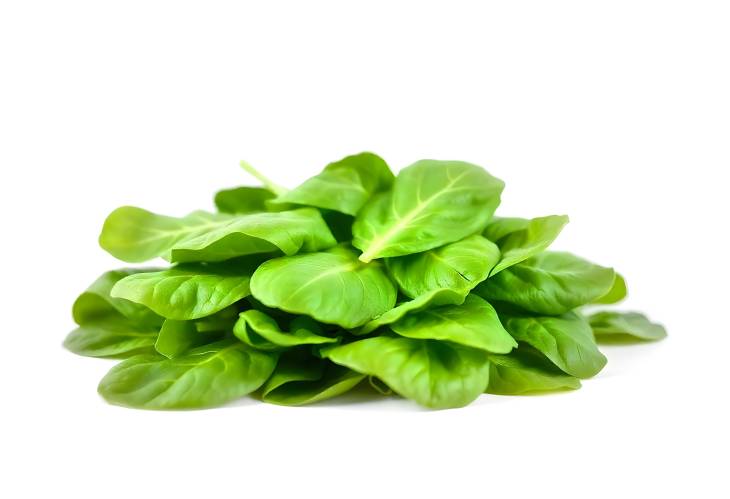 Spinach Leaves A Healthy Addition to Your Diet